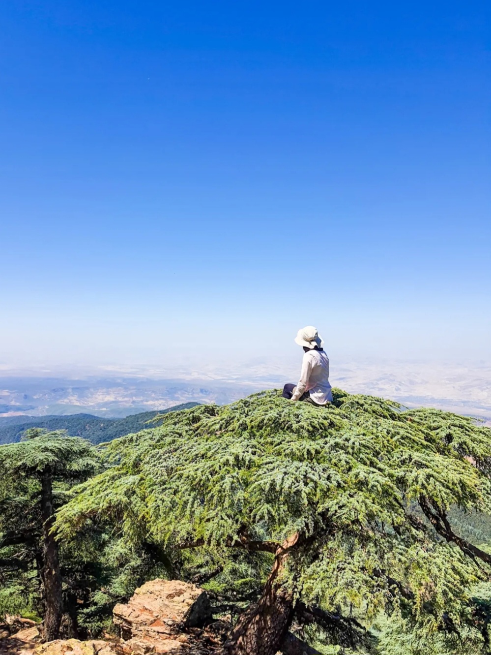 Jbel Tazzeka & Jbel Bouhadli – Une aventure entre forêts de cèdres et sommets panoramiques
